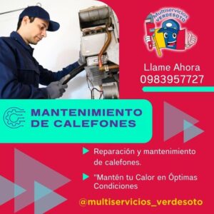 Mantenimiento De Calefones TMV